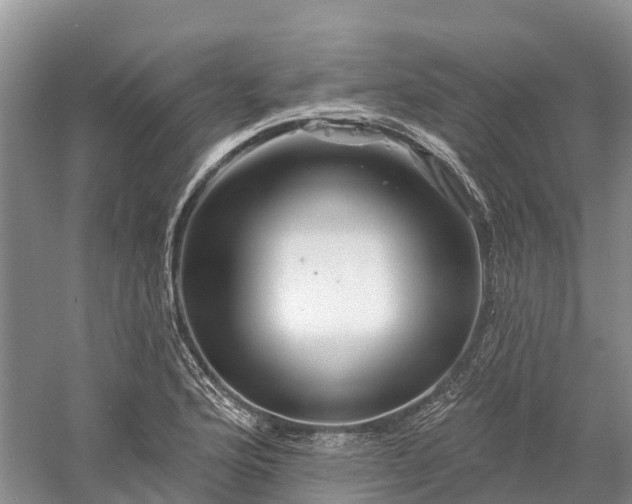 X0000060581176200511171650