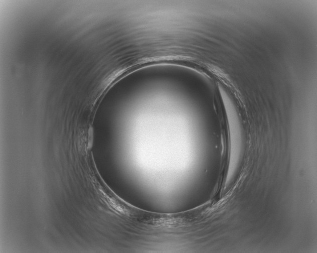 X0000060581177200511171650