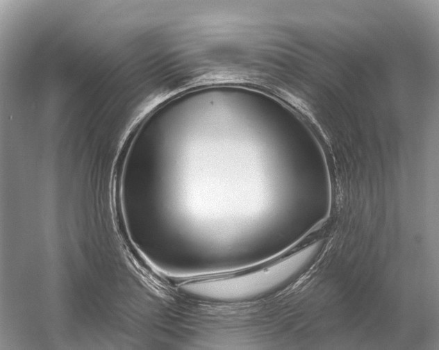 X0000060581179200511171649