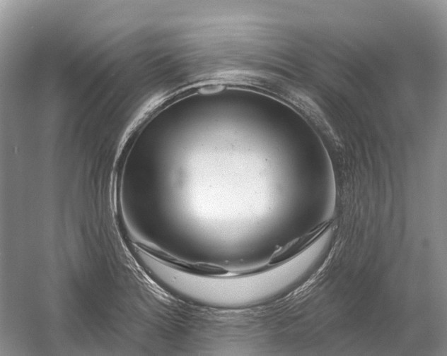 X0000060581180200511171649