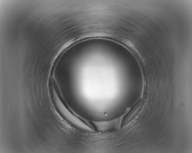 X0000060581181200511171649