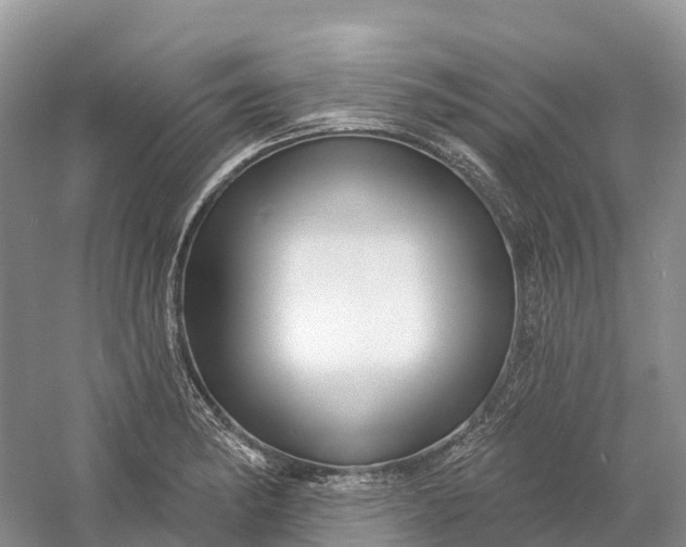 X0000060581182200511171649