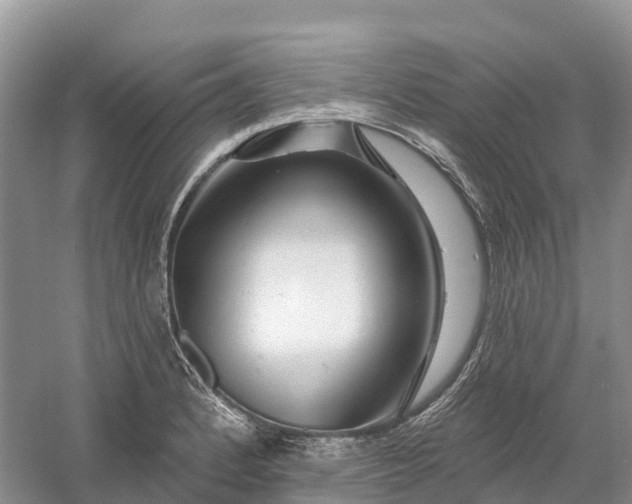 X0000060581184200511171649