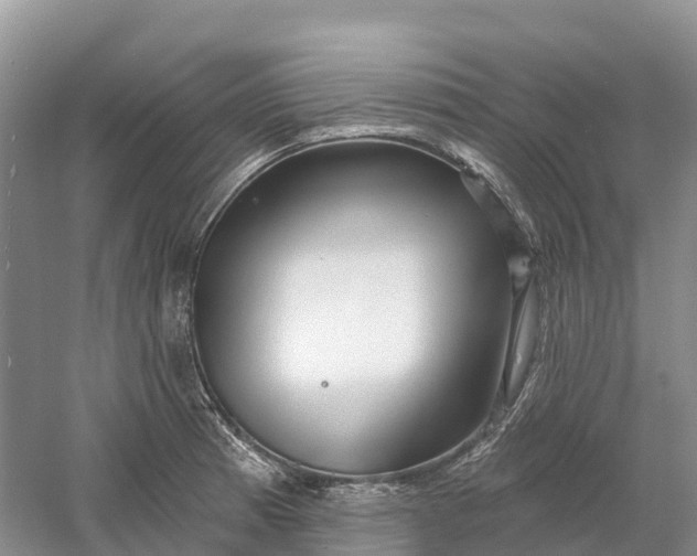 X0000060581185200511171649