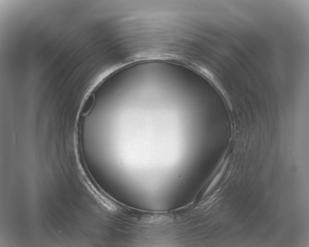 X0000060581187200511171649