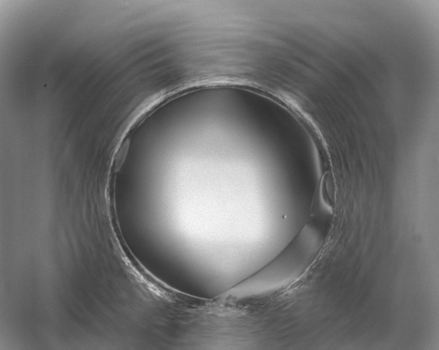 X0000060581189200511171649