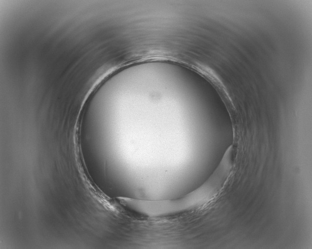 X0000060581190200511171649