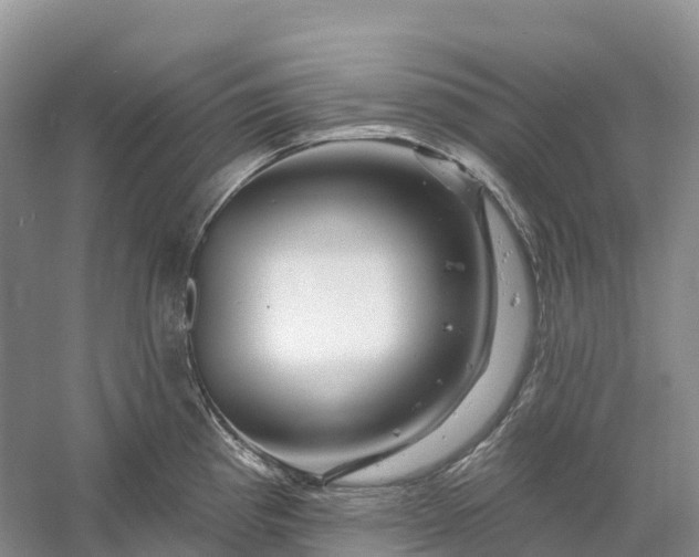 X0000060581193200511171649