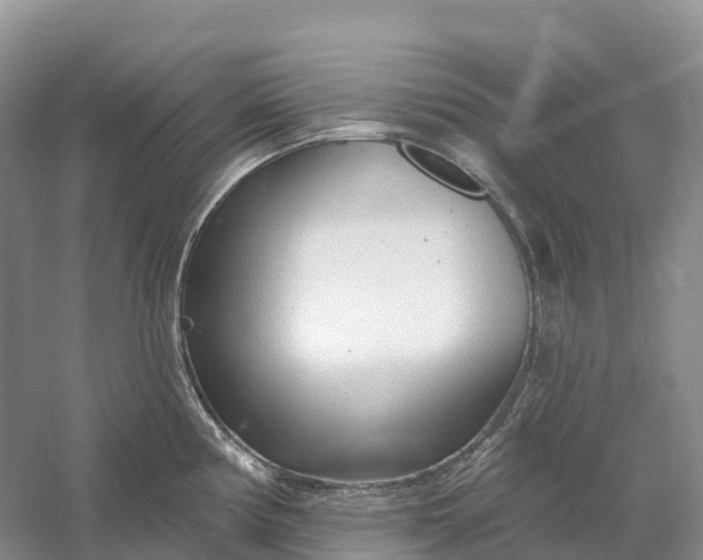 X0000060581194200511171649