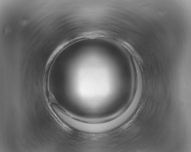 X0000060581196200511171649