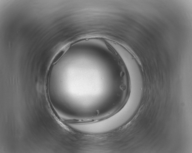 X0000060581197200511171649