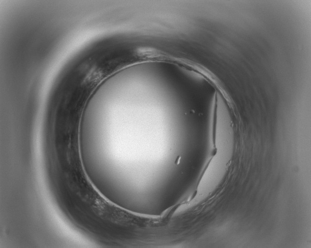 X0000060581199200511171649