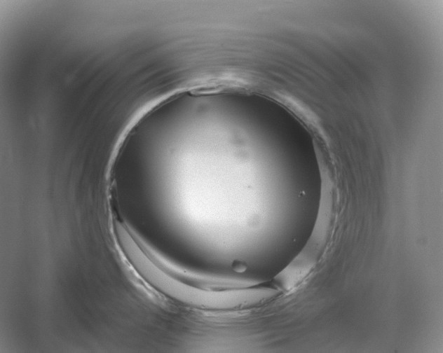 X0000060581200200511171649