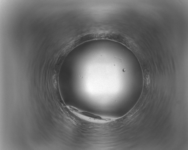 X0000060581204200511171648