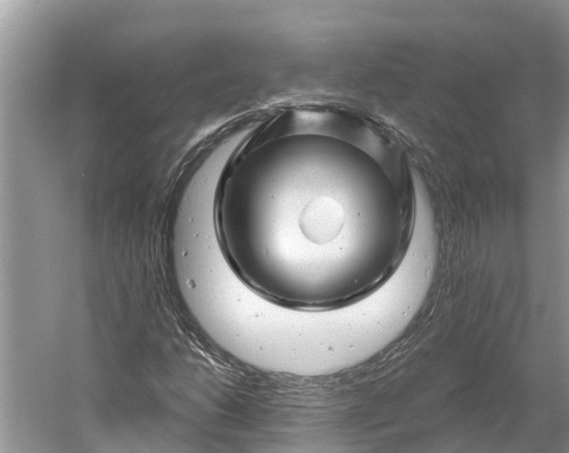 X0000060581206200511171648