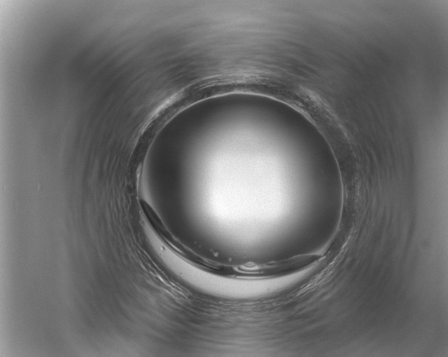 X0000060581210200511171648