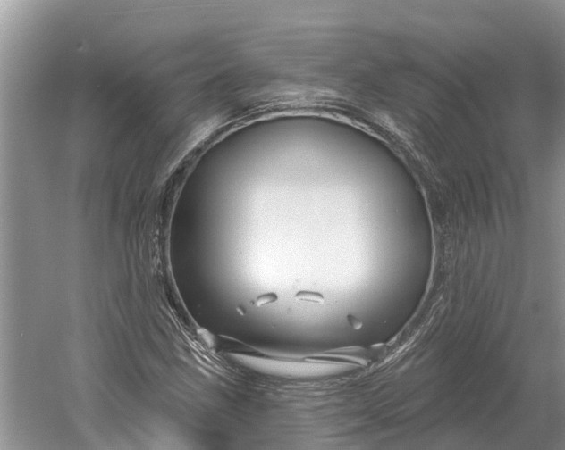 X0000060581211200511171648