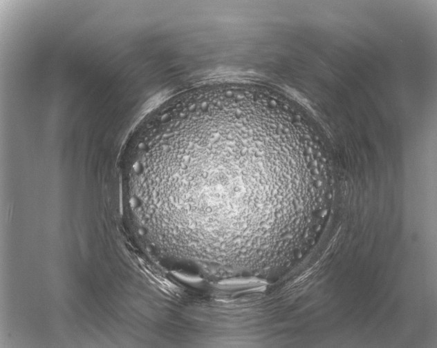 X0000060581219200511171649