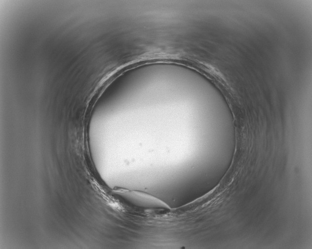 X0000060581220200511171649