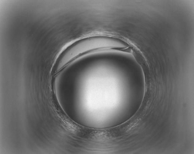 X0000060581222200511171649