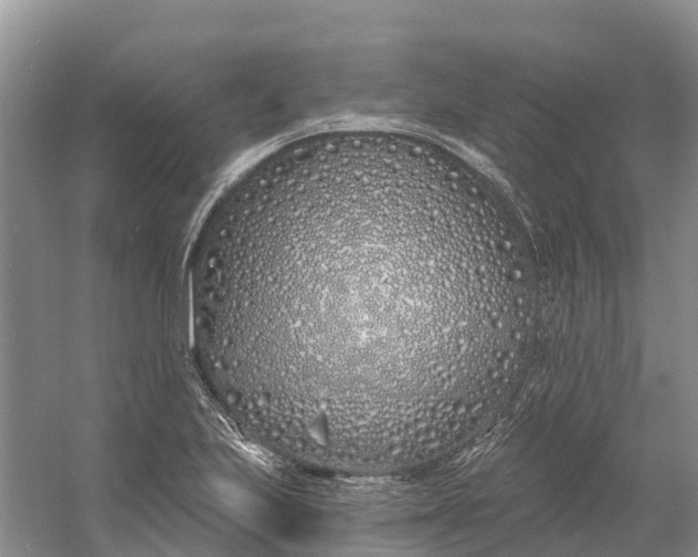 X0000060581223200511171649