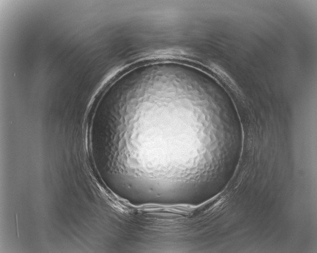 X0000060581224200511171649