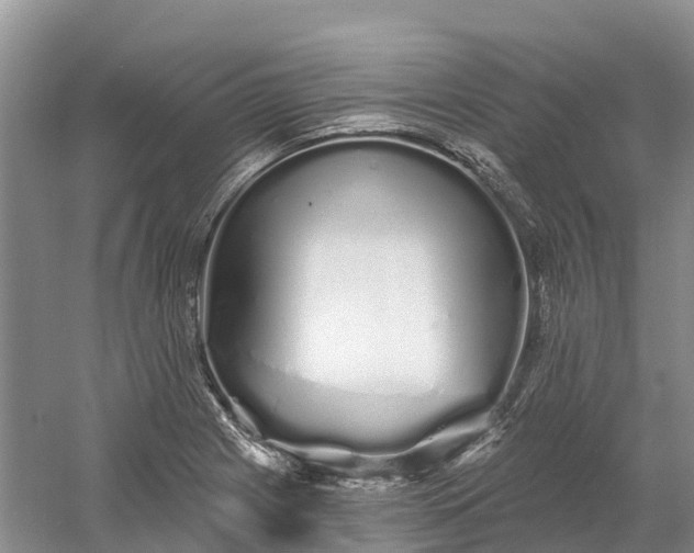 X0000060581225200511171649