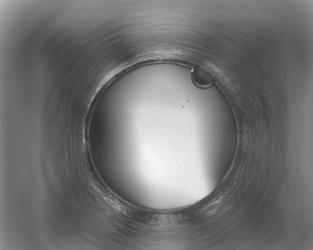 X0000060581226200511171649