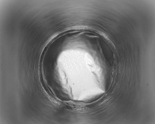 X0000060581229200511171649