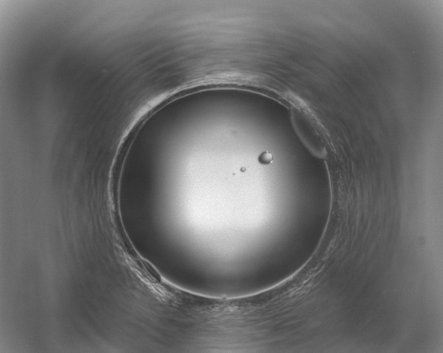 X0000060581230200511171649