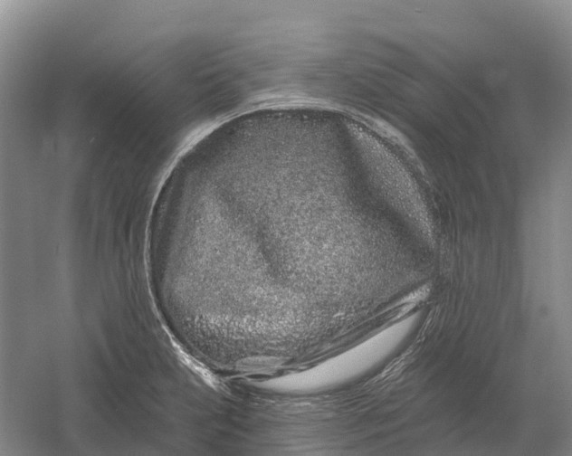 X0000060581231200511171649