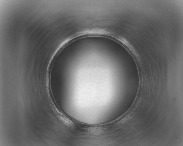 X0000060581232200511171649