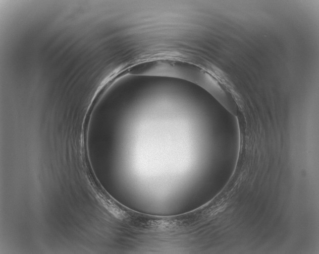 X0000060581234200511171649