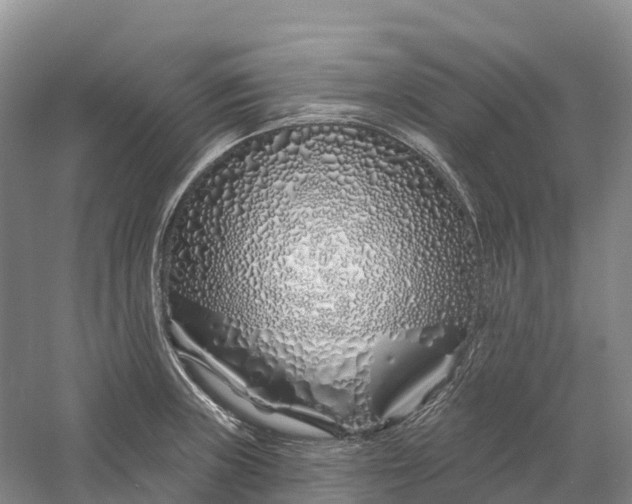 X0000060581235200511171649