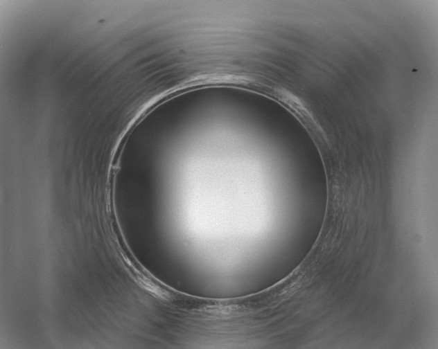 X0000060581236200511171649