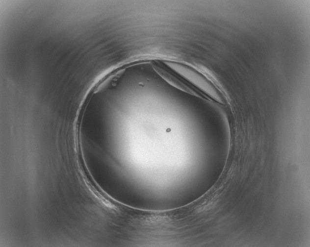 X0000060581238200511171649