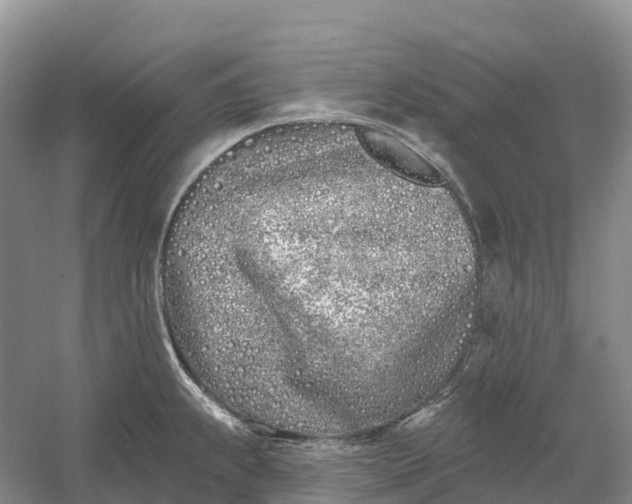 X0000060581239200511171649