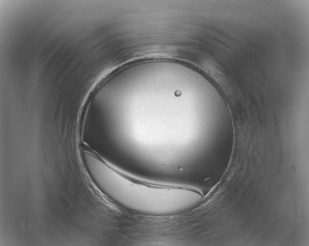 X0000060581240200511171649