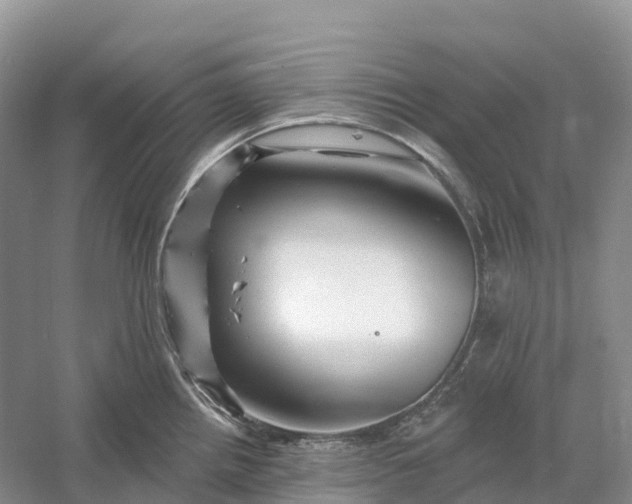 X0000060581242200511171649