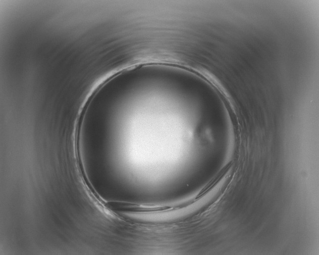 X0000060581246200511171649