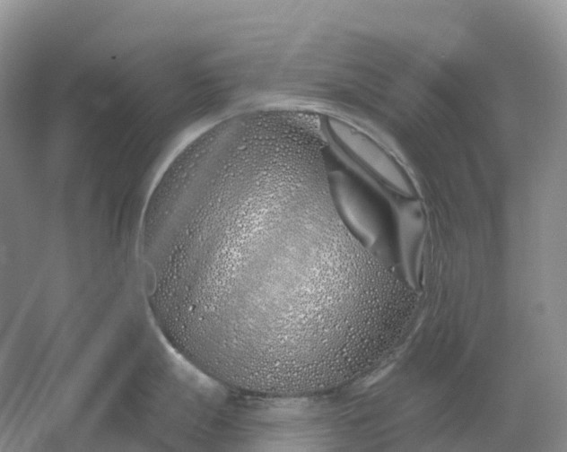 X0000060581247200511171649