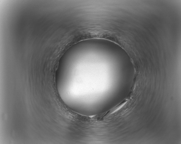 X0000060581249200511171648