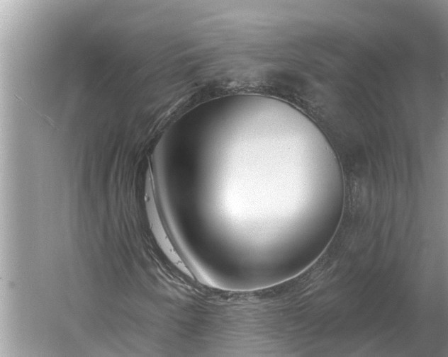 X0000060581250200511171648