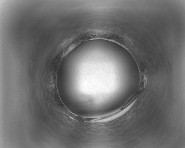 X0000060581253200511171648