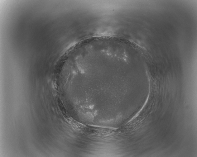 X0000060581254200511171648