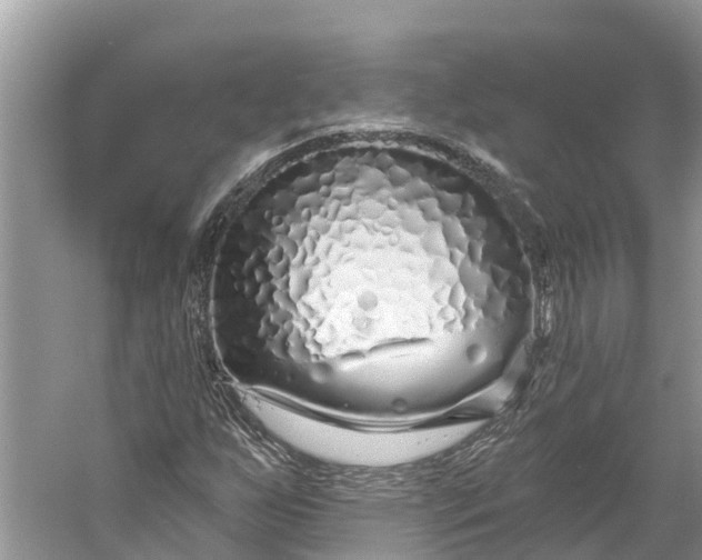 X0000060581255200511171648