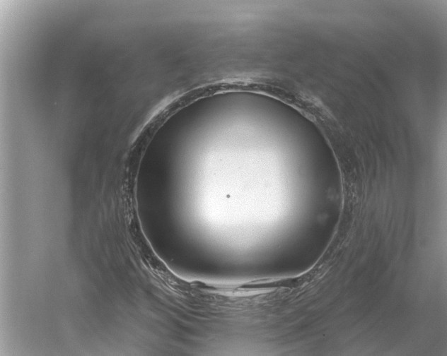 X0000060581256200511171648