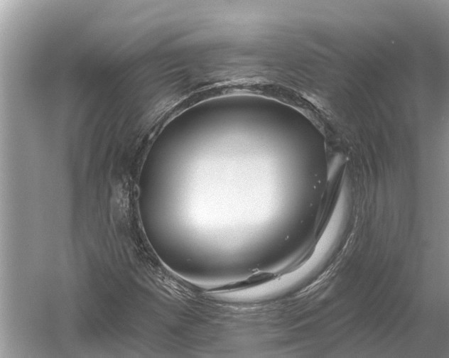 X0000060581257200511171648