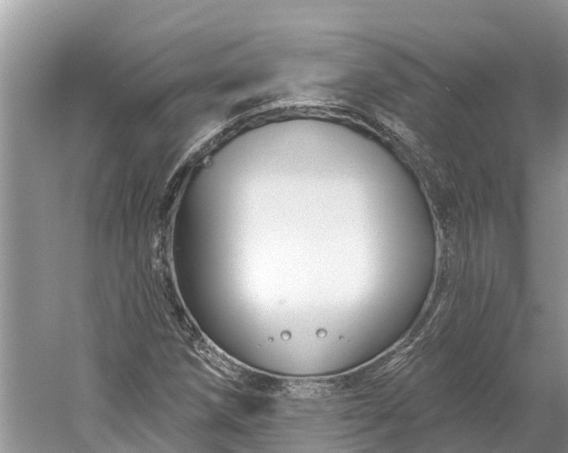 X0000060581258200511171648