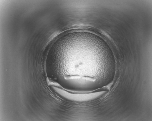 X0000060581259200511171648